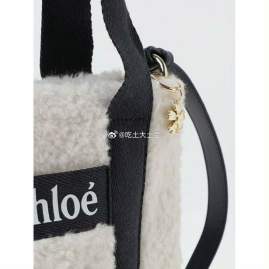 Picture of Chloe Handbags _SKUfw174809597fw